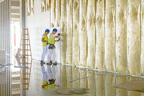 Best Residential Insulation in New Athens, IL
